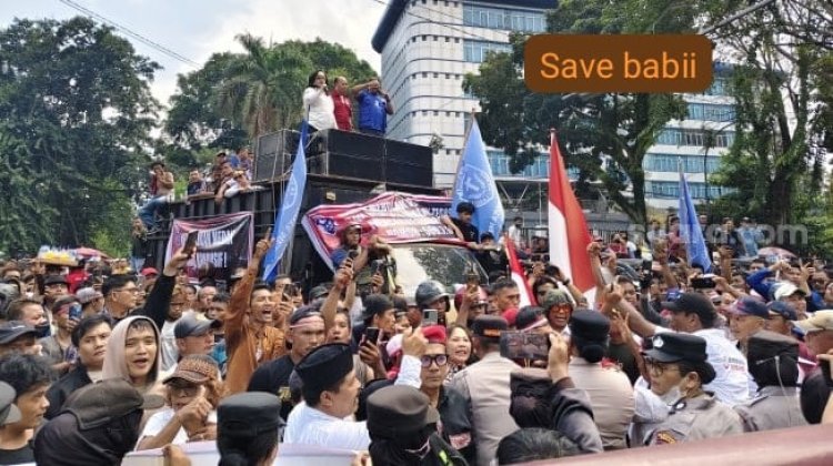 Ribuan Massa dari Berbagai Elemen  Aksi Demo, Minta Walikota Medan Cabut Surat Edaran
