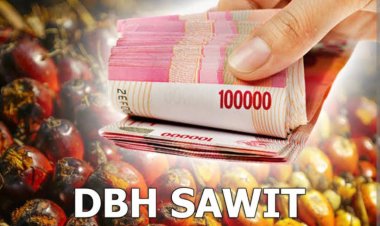 Bapenda: Pemprov Riau Terima Dana Bagi Hasil Dari Sektor Kelapa Sawit Sebesar Rp 83 Miliar Lebih