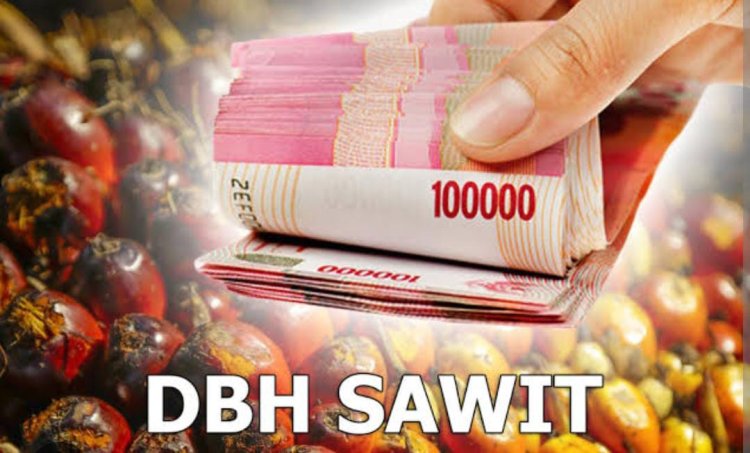 Bapenda: Pemprov Riau Terima Dana Bagi Hasil Dari Sektor Kelapa Sawit Sebesar Rp 83 Miliar Lebih