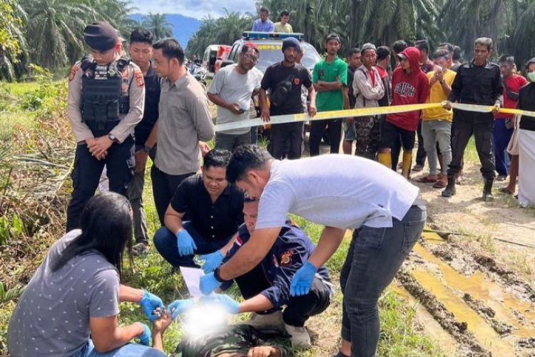 Polres Aceh Barat Daya Selidiki Kematian Warga di Lahan Kelapa Sawit