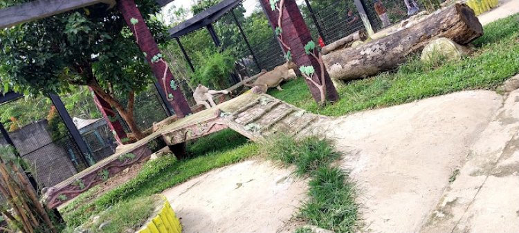 Jalan Kurang Bagus namun Menarik, Gurun Putih Lestari Safari Park
