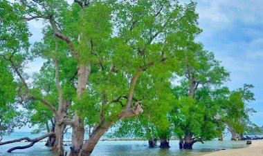 Lhok Mee | Krueng Raya Pantai Bersih Layak Dikunjungi