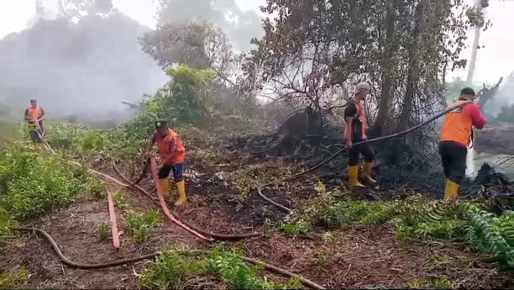 Bertambah Luas, Karhutla Di Kec.Bakongan, Aceh Selatan Hanguskan 4 Hektar Lahan