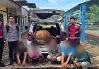 Warga Kec. Singkil Utara Tangkap Lima Pencuri Lembu Saat Beraksi