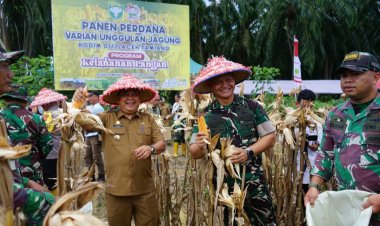 Program I’M Jagong di Kec. Kejuruan Muda, Dandim 0117 Aceh Tamiang Panen Perdana