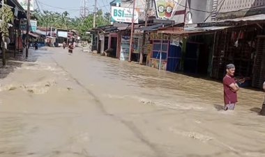 Nora Desak Pemerintah Aceh Segera Tangani Tanggul Jebol di Kec.Seruway Aceh Tamiang