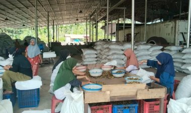 Kehadiran Pabrik Perebusan Pinang PT PGI, Mengurangi Angka Pengangguran di Kec.Badar, Aceh Tenggara