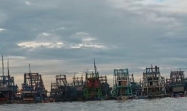 Mangrove Terabek Terancam: Penambangan Ilegal Marak, Aparat Diduga Bungkam