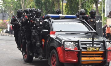 Dansat Brimob dilatih Intensif, Polda Riau Bentuk Tim Khusus Anti Kejahatan dan Premanisme