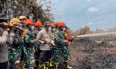 Karhutla Riau Jadi Sorotan Pusat, Pangdam 1 BB Tinjau Langsung Karhutla di Rokan Hilir