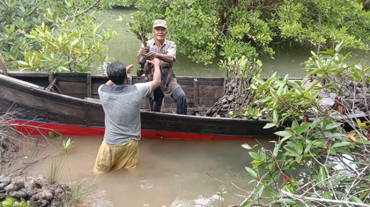 Laporan Fiktif & Kwitansi Manipulatif, Kasus Korupsi Rehabilitasi Mangrove di Natuna