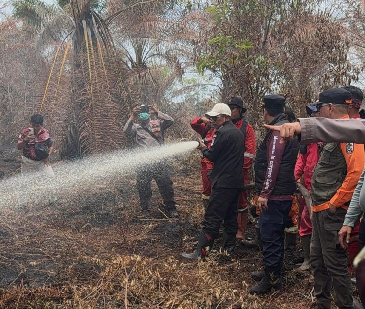 Respon Cepat, Bupati Pelalawan Cek Lokasi Karhutla di Desa Gambut Mutiara